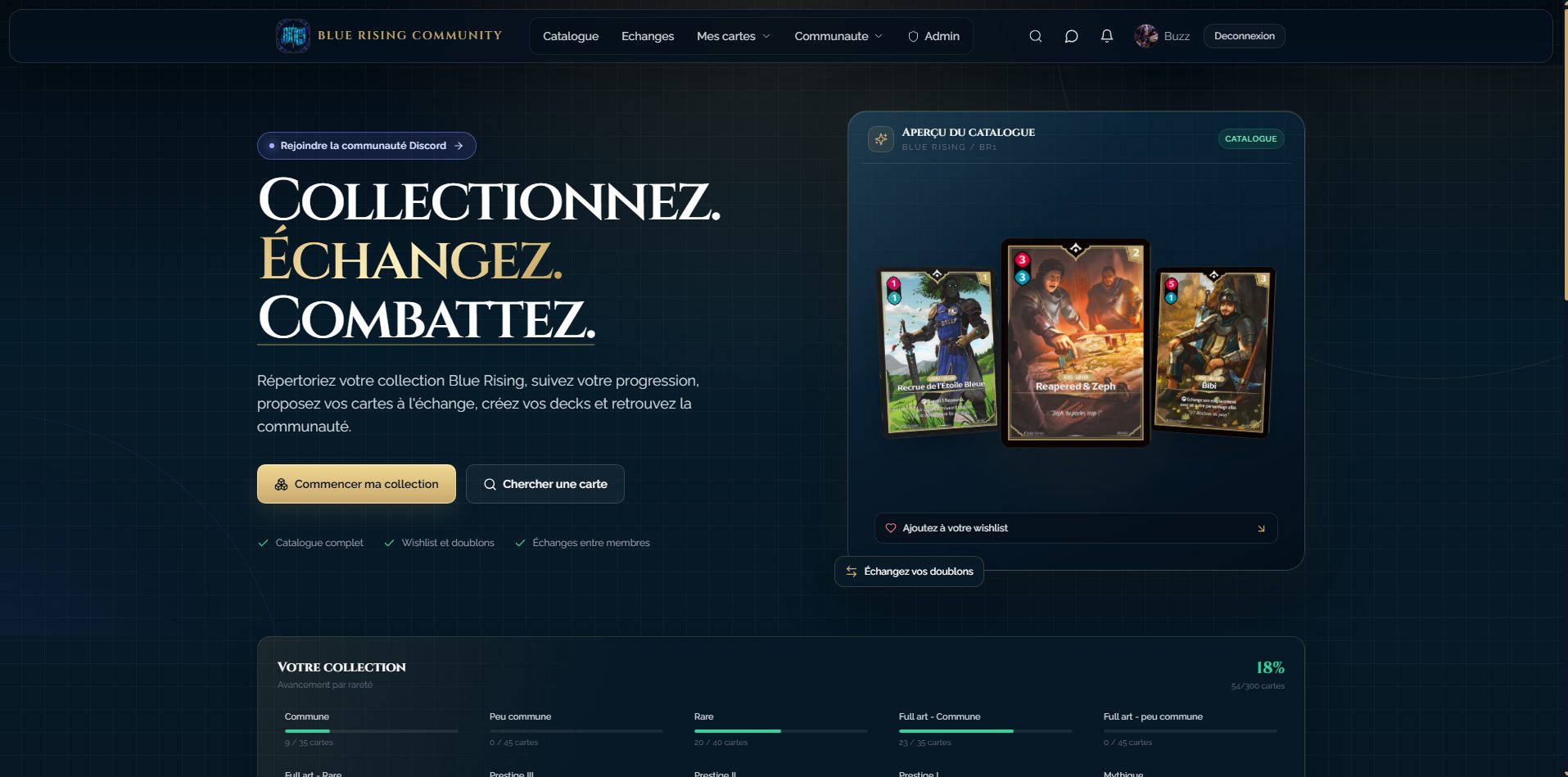 Capture de la plateforme communautaire BlueRising Community